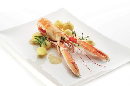 LANGOUSTINE ENTIERE CRUE 31/40