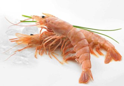 GAMBAS ROYALE ROUGE 6/8 PIECES