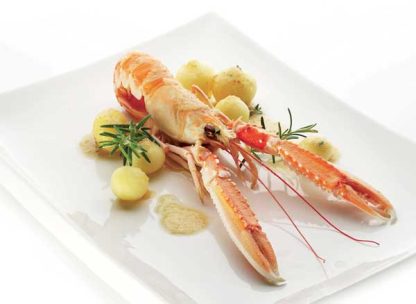 LANGOUSTINE ENTIERE CRUE 16/20 KG